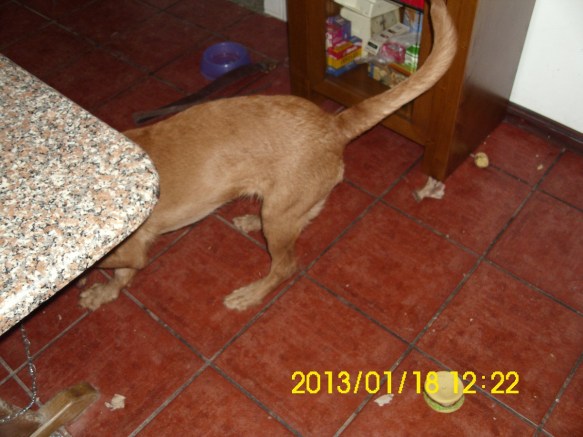 Perhaps it's under here?