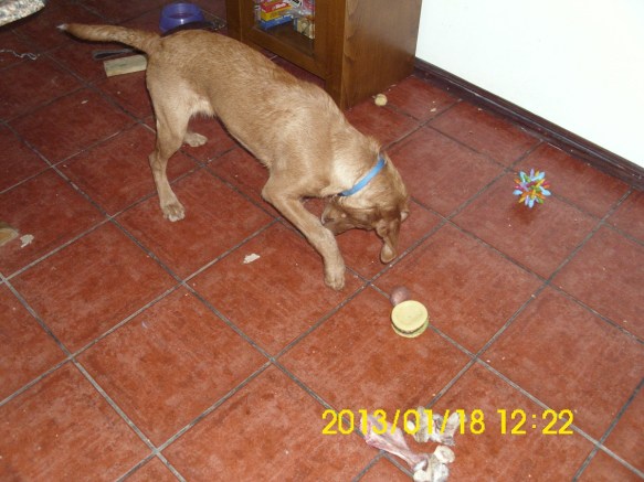 Mmm! Desiree and Vinyl Hamburger. Delicious!